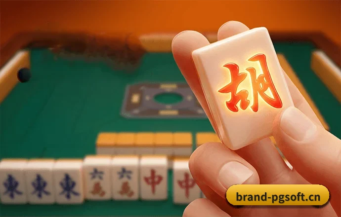 整合五大核心功能入口，打造最短赛程检索路径